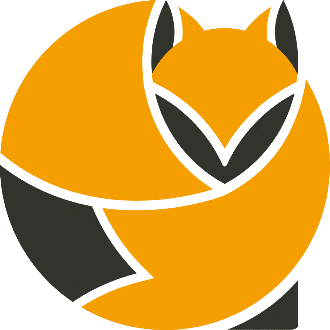 Angbot: Taktikfuchs – Fußball-Lizenztraining & Talentförderung