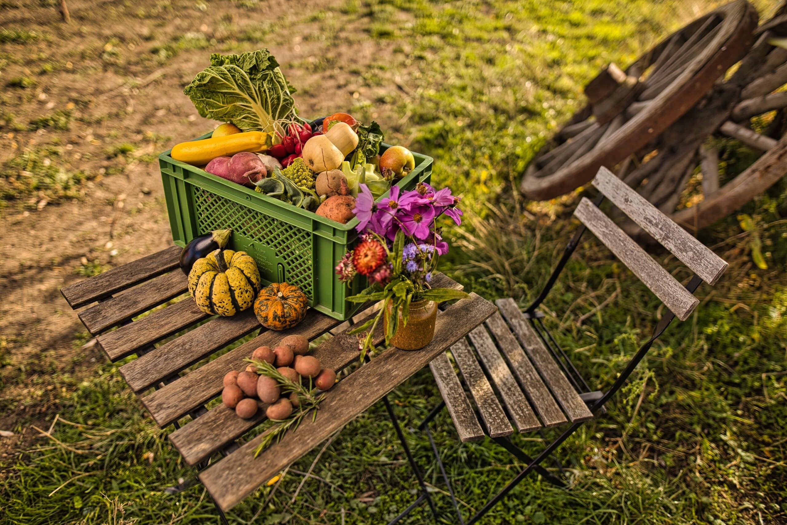 Angbot: Biohof Scharf