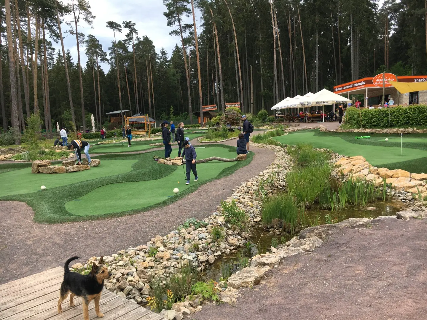 Angebot: Aktivpark Hohenfelden