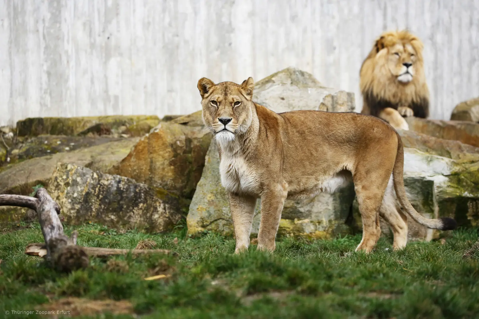 Angebot: Zoopark Erfurt