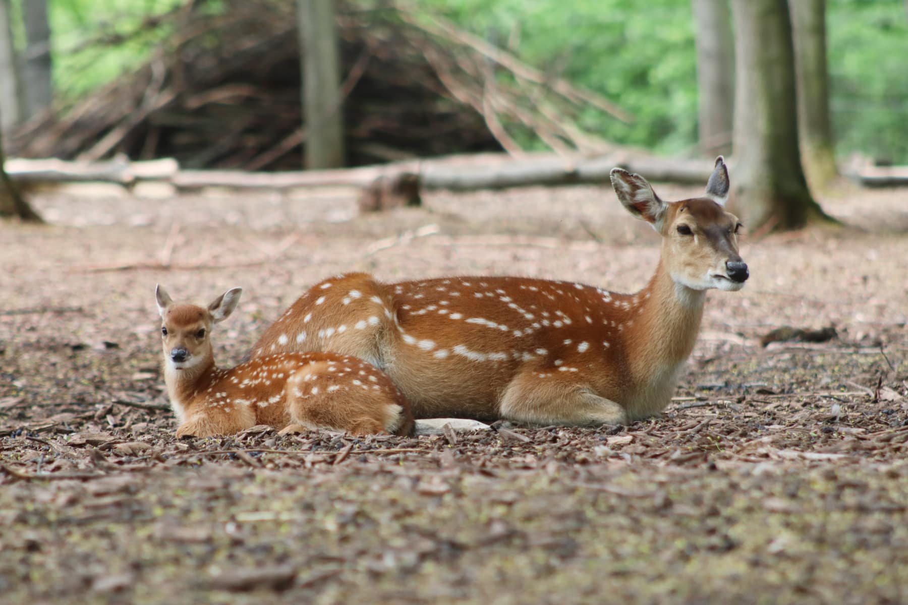 Angbot: 10% auf Tageskarten
