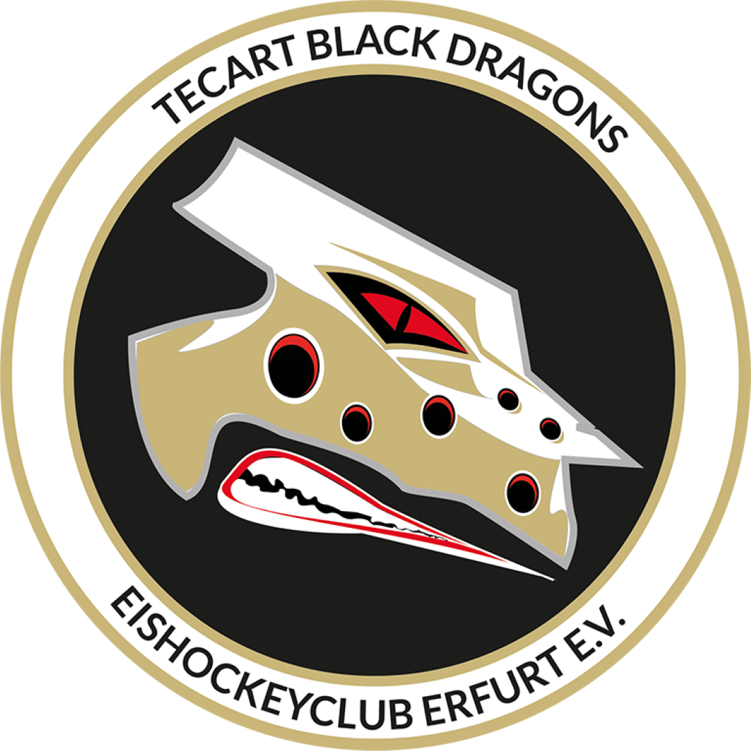 TecArt Black Dragons Erfurt Logo