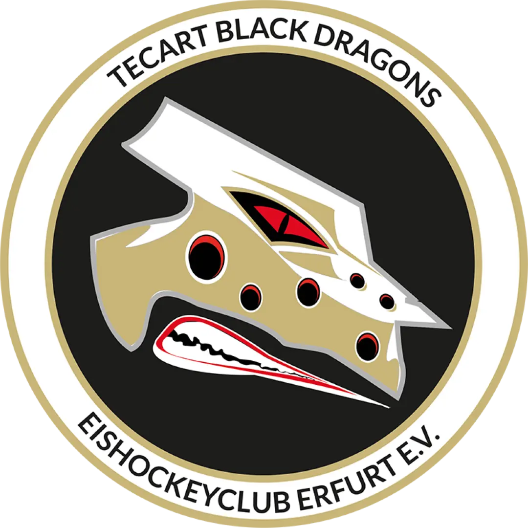 TecArt Black Dragons Erfurt Logo