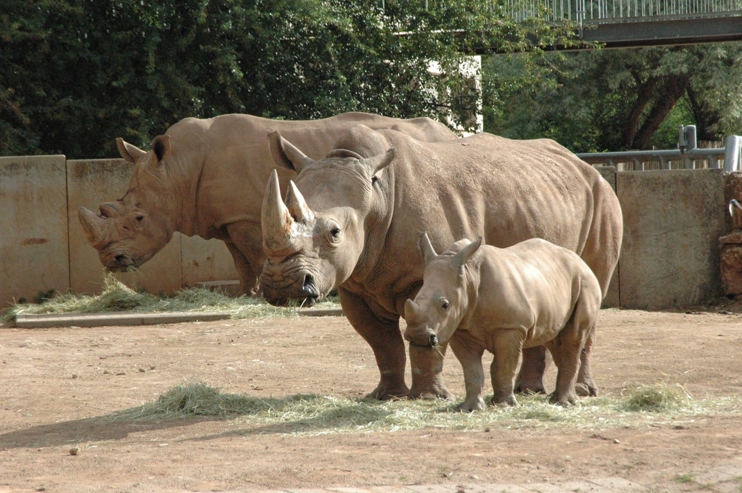 Angebot: Zoopark Erfurt